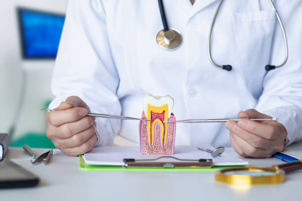 Best Urgent Dental Care for Toothache in Churchville, NY